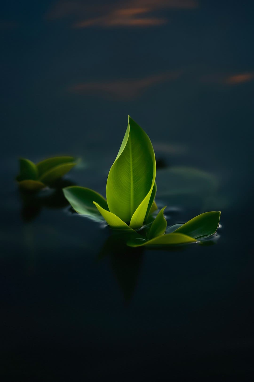 广东工业大学暑期社会实践队赴延安探寻生物医药范畴南北共创之路
